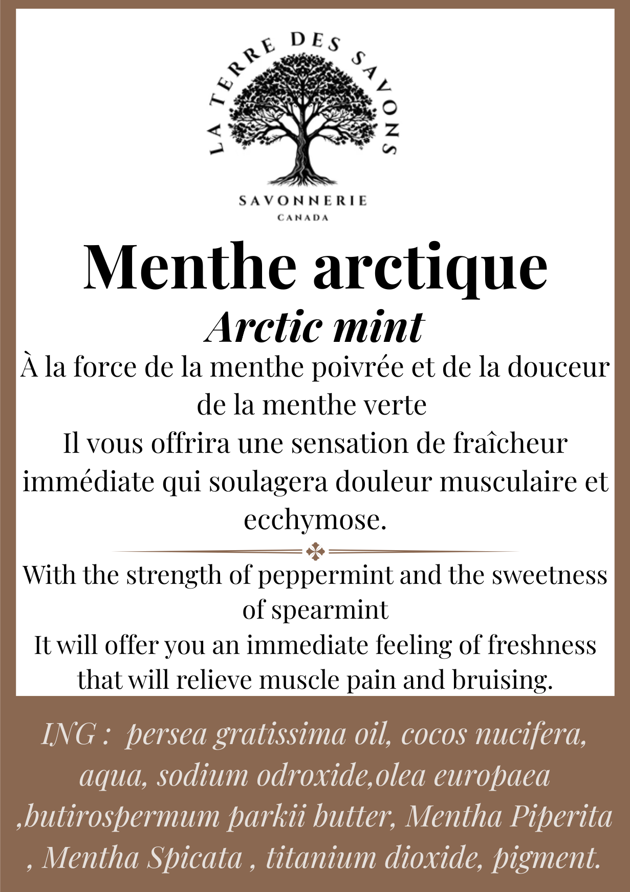 Savon Menthe arctique