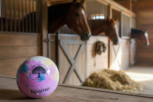 Bombe de bain Licorne